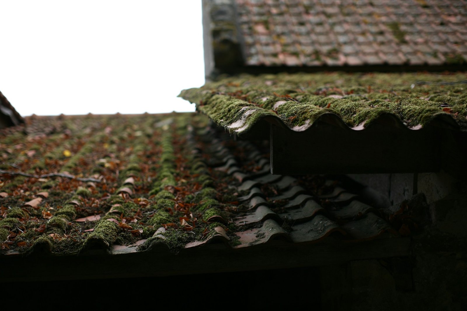 A roof of a house