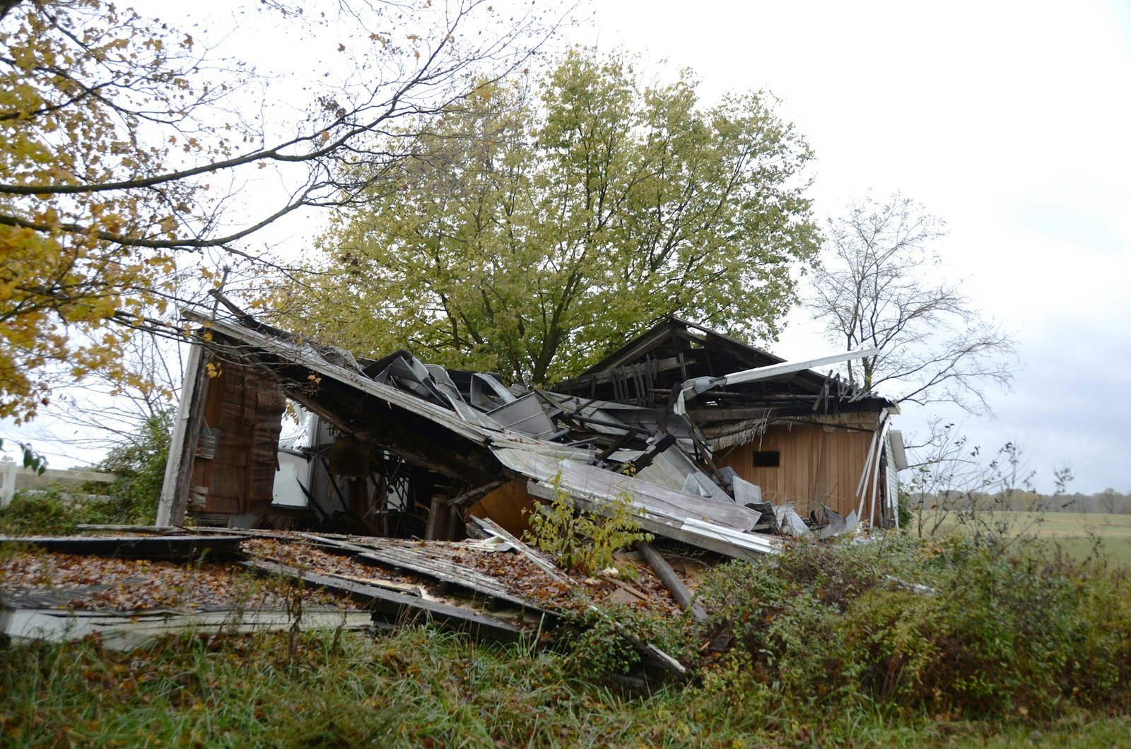 A house with a tree